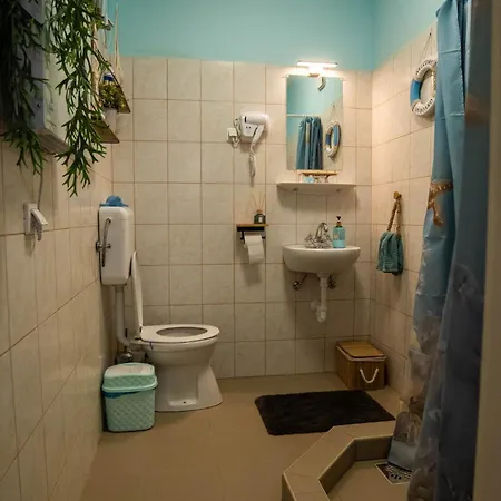 Fanni Vendeghaza Csongrád